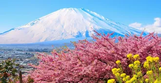 Japan Tokyo Sakura Matsuda Fujiten Disneyland Free Day - ทัวร์ญี่ปุ่น มหัศจรรย์ โตเกียว ซากุระมัตสึดะ ฟูจิเท็น ฟรีเดย์ ดิสนีย์แลนด์ (อิสระ 1 วัน)