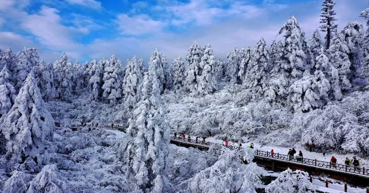 China Chengdu Chongqing Wulong Leshan Wawu Mountain  - ทัวร์จีน เฉิงตู ฉงชิ่ง อู่หลง เล่อซาน ภูเขาหิมะหว่าหวู่  (ไม่ลงร้าน)