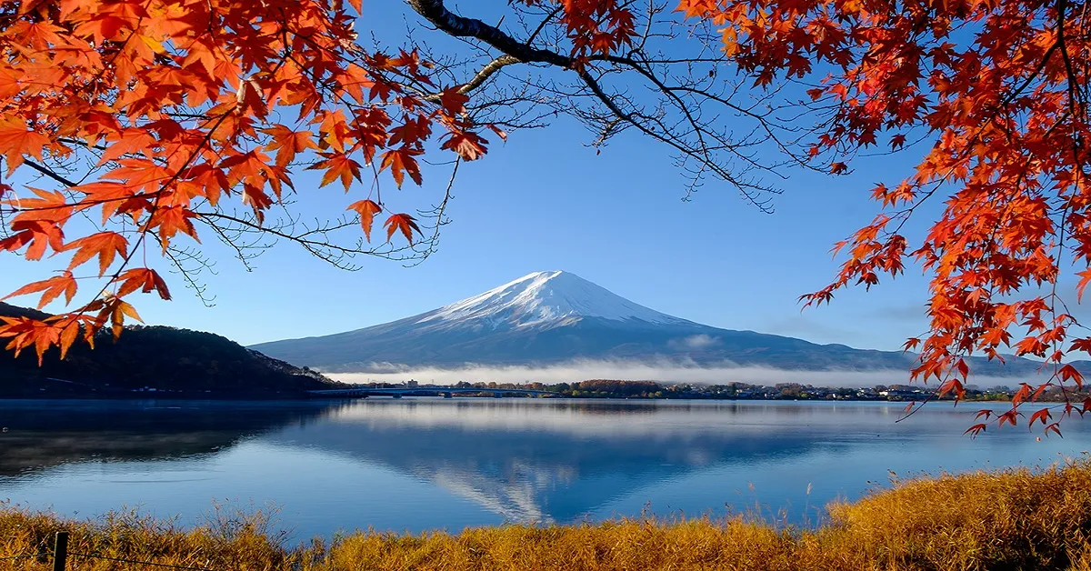 Japan Tokyo Fuji Kawagoe Disneyland Free Day Autumn - ทัวร์ญี่ปุ่น โตเกียว ฟูจิ คาวาโกเอะ ดิสนีย์แลนด์ สัมผัสบรรยากาศสุดฟินแบบพิเศษ ใบไม้เปลี่ยนสี (อิสระ 1 วัน)