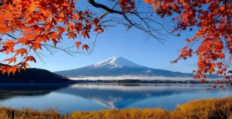 Japan Tokyo Fuji Kawagoe Disneyland Free Day Autumn - ทัวร์ญี่ปุ่น โตเกียว ฟูจิ คาวาโกเอะ ดิสนีย์แลนด์ สัมผัสบรรยากาศสุดฟินแบบพิเศษ ใบไม้เปลี่ยนสี (อิสระ 1 วัน)