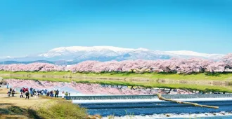 Japan Tokyo Sendai Fukushima Sakura - ทัวร์ญี่ปุ่น โตเกียว เซนได ฟุกุชิมะ ชมซากุระ