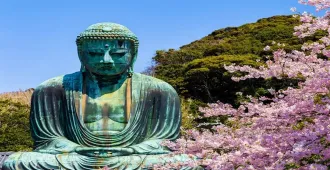 Japan Tokyo Fuji Kamakura Sakura - ทัวร์ญี่ปุ่น โตเกียว ฟูจิ คามาคุระ ชมซากุระบาน (อิสระ 1 วัน)
