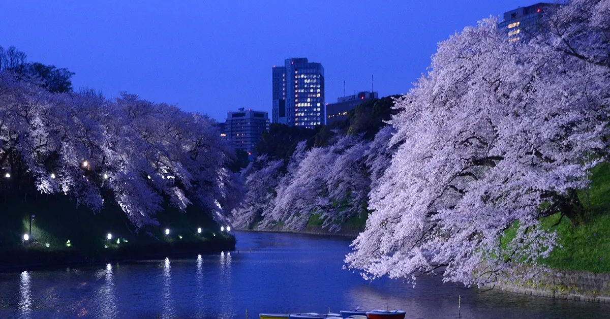 Japan Tokyo Sendai Matsushima Chiyoda Sakura Festival - ทัวร์ญี่ปุ่น โตเกียว เซนได มัตสึชิม่า เทศกาลซากุระประจำปีจิโยดะ