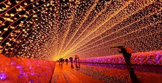 Japan Nagoya Sakae Hirugano Picnic Garden Nabana no Sato - ทัวร์ญี่ปุ่น นาโกย่า ซากาเอะ สวนปิกนิกฮิรุกาโนะ ชมเทศกาลไฟนาบะนาโนะซาโตะ (อิสระ 1 วัน)