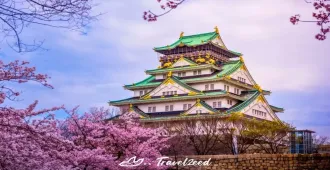 Japan Osaka Kyoto Universal Studios Free Day - ทัวร์ญี่ปุ่น ซุปตาร์ โอซาก้า เกียวโต ปราสาทโอซาก้า ผจญภัยฤดูใบไม้ผลิ (อิสระ 1 วัน)