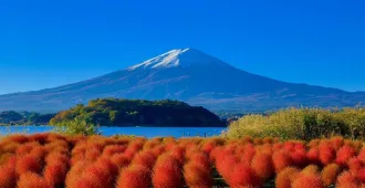 Japan Autumn Breeze Tokyo Fuji Kamakura - ทัวร์ญี่ปุ่น โตเกียว ฟูจิ ชมเสน่ห์เมืองเก่าคะมะคุระ