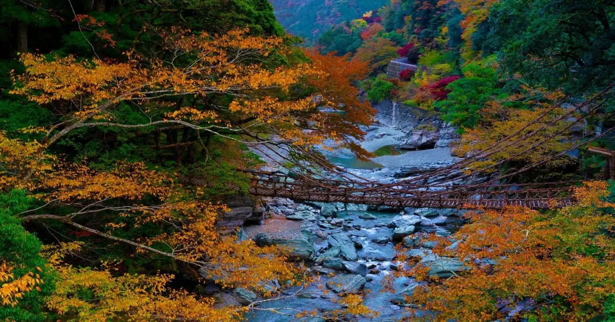 Japan Osaka Yamaguchi Shikoku Autumn Iya Niju Kazurabashi - ทัวร์ญี่ปุ่น โอซาก้า ยามากุจิ ชิโกกุ ชมความสวยงามของธรรมชาติใบไม้เปลี่ยนสี ณ สะพานอิยะโนะคะซึระบะชิ 