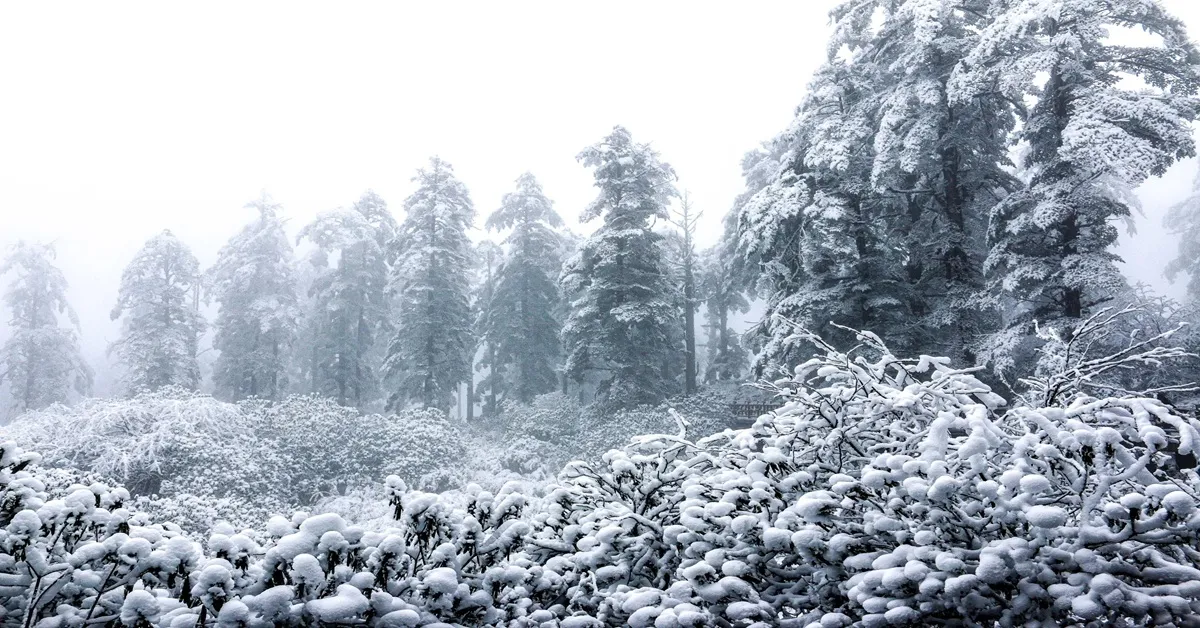 China Chengdu Siguniangshan Bipenggou Wawu Mountain - ทัวร์จีน เฉิงตู สี่ดรุณี ปี้เผิงโกว ภูเขาหิมะวาวู่ (ลงร้าน)