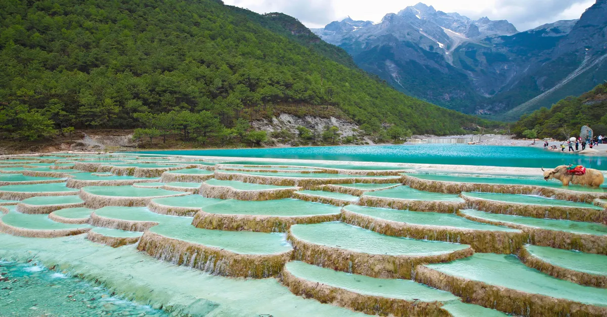 China Kunming Dali Lijiang Shangri-La Jade Dragon Snow Mountain - ทัวร์จีน คุนหมิง ต้าลี่ ลี่เจียง แชงกรีล่า ภูเขาหิมะมังกรหยก  (ไม่ลงร้าน)