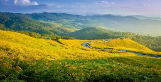  Mae Hong Son Thung Buatong Forest Park - ทัวร์แม่ฮ่องสอน ทุ่งดอกบัวตองแม่ฮ่องสอน (ไปแม่แจ่มกลับปาย)