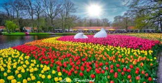 Benelux Germany Luxembourg Belgium Netherlands Keukenhof - ทัวร์เบเนลักซ์ เยอรมัน ลักเซมเบิร์ก เบลเยี่ยม เนเธอร์แลนด์ เข้าชมสวนดอกทิวลิปเคอเคนฮอฟและล่องเรือแม่น้ำไรน์
