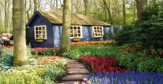 Benelux Germany Luxembourg Belgium Netherlands Keukenhof - ทัวร์เบเนลักซ์ เยอรมัน ลักเซมเบิร์ก เบลเยี่ยม เนเธอร์แลนด์ สวนเคอเคนฮอฟ