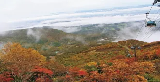 Japan Tokyo Nikko Fukushima Autumn - ทัวร์ญี่ปุ่น โตเกียว นิกโก้ ชมวิวใบไม้เปลี่ยนสี 