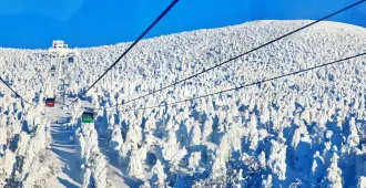 Japan Tokyo Nikko Sendai Fukushima Ice Monster - ทัวร์ญี่ปุ่น โตเกียว นิกโก้ เซนได ฟุกุชิมะ ไอซ์มอนสเตอร์