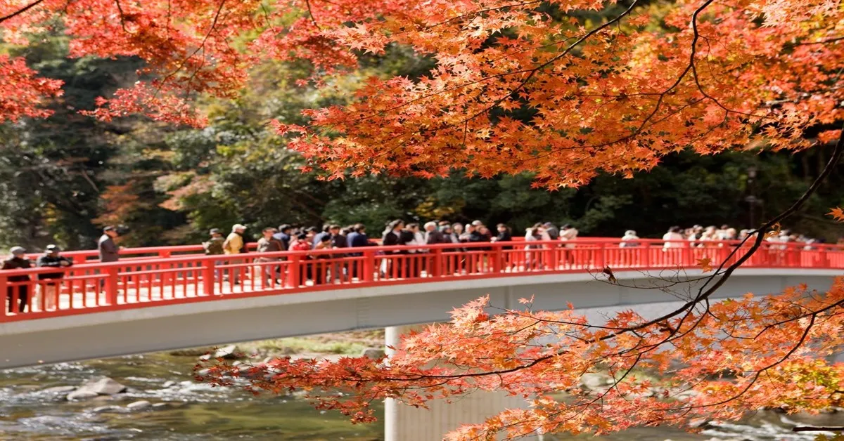 Japan Tour Obara Hakuba Takayama Tokyo - ทัวร์ญี่ปุ่น โอบาระ ฮาคุบะ ทาคายาม่า