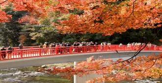 Japan Tour Obara Hakuba Takayama Tokyo - ทัวร์ญี่ปุ่น โอบาระ ฮาคุบะ ทาคายาม่า