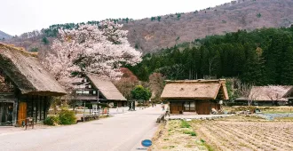 Japan Nagoya Kyoto Shirakawago - ทัวร์ญี่ปุ่น เรียล เรียล... นาโกย่า เกียวโต หมู่บ้านมรดกโลกชิราคาวาโกะ ชมพู แจ่มๆ
