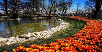 Turkiye Istanbul  Ankara Cappadocia Kusadasi - ทัวร์ตุรกี อิสตันบูล อังการา คัปปาโดเกีย คูซาดาซี ชมเทศกาลดอกทิวลิป