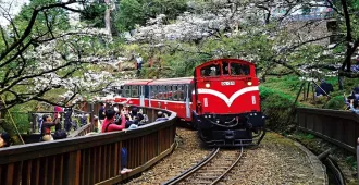  Taiwan Taipei Chiayi Taichung Alishan National Park - ทัวร์ไต้หวัน มหัศจรรย์... ไทเป เจียอี้ ไถจง นั่งรถไฟโบราณชมอุทยานอาลีซาน บินตรงเชียงใหม่ (อิสระ 1 วัน)