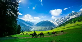 India Autumn Gulmarg - ทัวร์อินเดีย ใบไม้เปลี่ยนสี  ชมเทือกเขากุลมาร์คและขี่ม้า pony