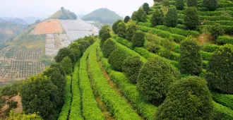 China Nanning Guilin Yangshuo Yaoshan Mountain - ทัวร์จีน หนานหนิง กุ้ยหลิน หยางซั่ว เขาเหยาซาน รถไฟความเร็วสูง (ลงร้าน)