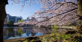 Japan Tokyo Gunma Niigata Sendai Autumn - ทัวร์ญี่ปุ่น โตเกียว เซนได ตระการตาใบไม้เปลี่ยนสี สวยสด