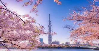 Japan Tokyo Osaka Nagoya Kyoto Kawaguchiko Disneyland Sakura Fun Park - ทัวร์ญี่ปุ่น โตเกียว โอซาก้า นาโกย่า เกียวโต คาวากุจิโกะ ดิสนีย์แลนด์ ชมซากุระแบบจุใจ