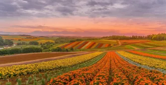 Japan Hokkaido Noboribetsu Asahikawa Otaru - ทัวร์ญี่ปุ่น ซุปตาร์...ฮอกไกโด ลาเวนเดอร์ เที่ยวสบาย สไตล์ฤดูร้อน