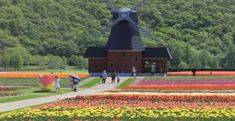 Japan Hokkaido Sapporo Otaru Asahikawa Furano Biei Kamiyubetsu Park - ทัวร์ญี่ปุ่น ฮอกไกโด ซัปโปโร โอตารุ อาซาฮิคาวะ ฟุราโน่ บิเอะ สวนคามิยุเบ็ทซึ