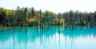 Japan Hokkaido Ski Tomamu - ทัวร์ญี่ปุ่น ฮอกไกโด โรแมนติก ฤดูหนาว เล่นสกี