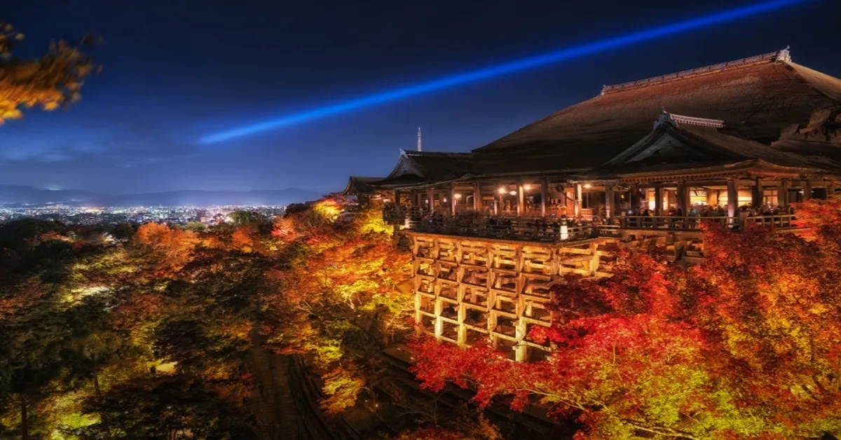 Japan Nagoya Osaka Kyoto Autumn - ทัวร์ญี่ปุ่น นาโกย่า โอซาก้า เกียวโต ชมไลท์อัพยามค่ำฤดูใบไม้เปลี่ยนสีและพิพิธภัณฑ์สัตว์น้ำ