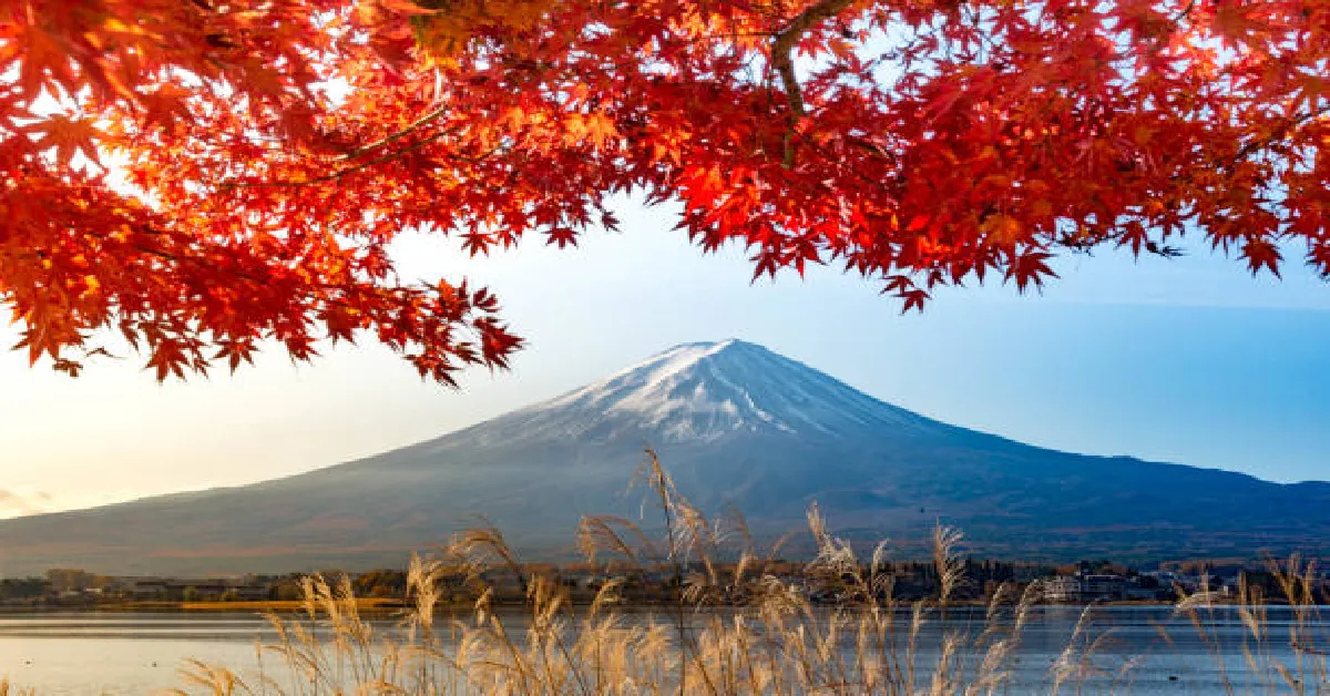 Japan Tokyo Fujinomiya Autumn - ทัวร์ญี่ปุ่น โตเกียว ฟูจิโนมิยะ เช็ดอินชิสุโอกะ เที่ยวรอบฟูจิ ชมใบไม้เปลี่ยนสีอาตามิ 