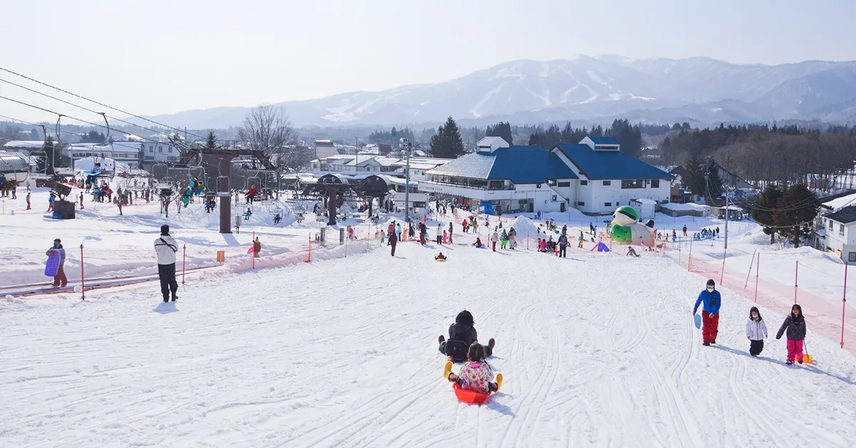 Japan Osaka Kyoto Gifu Ski Nabana no sato Illumination - ทัวร์ญี่ปุ่น โอซาก้า เกียวโต กิฟุ สนุกกับลานสกีกิฟุและชมงานประดับไฟนาบานะโนะซาโตะ