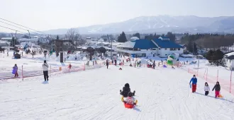 Japan Osaka Kyoto Gifu Ski Nabana no sato Illumination - ทัวร์ญี่ปุ่น โอซาก้า เกียวโต กิฟุ สนุกกับลานสกีกิฟุและชมงานประดับไฟนาบานะโนะซาโตะ