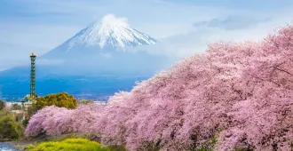 Japan Tokyo Fuji Sakura Disneyland - ทัวร์ญี่ปุ่น โตเกียว ภูเขาไฟฟูจิ เที่ยววิวสวย ใจฟูดูซากุระ ดิสนีย์แลนด์