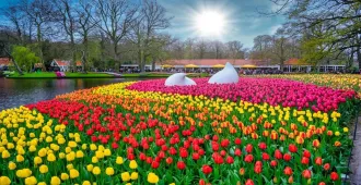 Benelux Germany Netherlands Belgium France Keukenhof - ทัวร์เบเนลักซ์ เยอรมนี เนเธอร์แลนด์ เบลเยี่ยม ฝรั่งเศส สวนเคอเคนฮอฟ