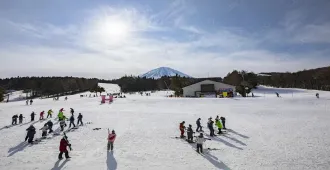 Japan Tokyo Kamakura Fuji Disney Land Free Day - ทัวร์ญี่ปุ่น มหัศจรรย์ โตเกียว คามาคุระ ฟูจิ ดิสนีย์แลนด์ (อิสระ 1 วัน)