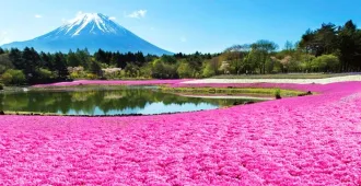 Japan Alps Tokyo Kamikochi Takayama Fuji - ทัวร์ญี่ปุ่น เรียล เรียล... โตเกียว คามิโคจิ ทาคายาม่า ฟูจิ 2 ผู้ยิ่งใหญ่ ปี 2