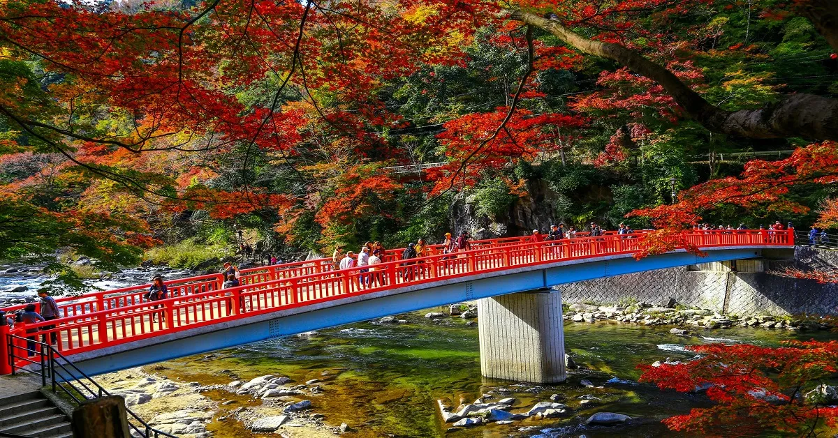  Japan Osaka Tokyo Grand Korankei - ทัวร์ญี่ปุ่น โอซาก้า โตเกียว ชมใบไม้เปลี่ยนสีสุดปังหุบเขาโครังเค
