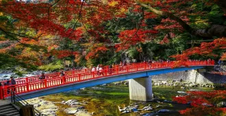  Japan Osaka Tokyo Grand Korankei - ทัวร์ญี่ปุ่น โอซาก้า โตเกียว ชมใบไม้เปลี่ยนสีสุดปังหุบเขาโครังเค