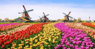 East Europe Germany Netherlands Belgium France Beautiful Flora in Keukenhof - ทัวร์ยุโรป เยอรมนี เนเธอร์แลนด์ เบลเยียม ฝรั่งเศส ชมเทศกาลดอกไม้แสนสวย เคอเคนฮอฟ