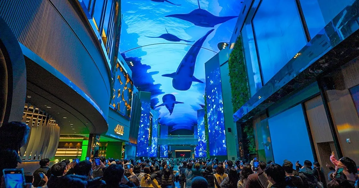 South Korea Seoul Aurora Media Show Autumn - ทัวร์เกาหลี โซล ชมการแสดงแสงออโรราผ่านสื่อและศูนย์น้ำมันสนเข็มแดง ใบไม้เปลี่ยนสี (อิสระ 1 วัน)