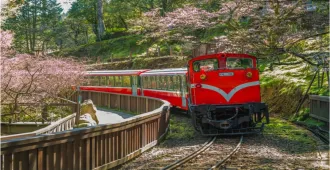 Taiwan Taipei Nantou Chiayi Alishan - ทัวร์ไต้หวัน ไทเป หนานโถว เจียอี้ นั่งรถไฟโบราณ เที่ยวอุทยานแห่งชาติอาหลีซาน ชมสวนสนพันปี