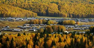 China Northern Xinjiang Guangzhou Altay Kanas Lake Autumn - ทัวร์จัน ซินเจียงเหนือ กวางโจว  อาเล่อไท่ ชมอุทยานคานาสือ ใบไม้เปลี่ยนสี (ไม่ลงร้าน)