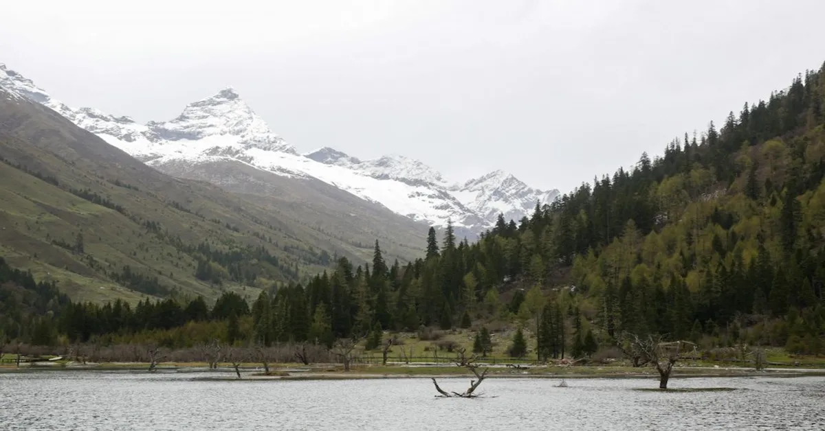 ทัวร์จีน ฉงชิ่ง เฉิงตู อู่หลง ภูเขาสี่ดรุณี นั่งรถไฟความเร็วสูง (ไม่ลงร้าน) 