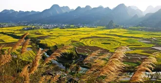 China Kunming Xingyi Mile - ทัวร์จีน มหัศจรรย์ คุนหมิง ซิงอี้ หมีเล่อ หมู่บ้านโบราณเฟิงหลินปู้อี บินตรงเชียงใหม่ (ไม่ลงร้าน)