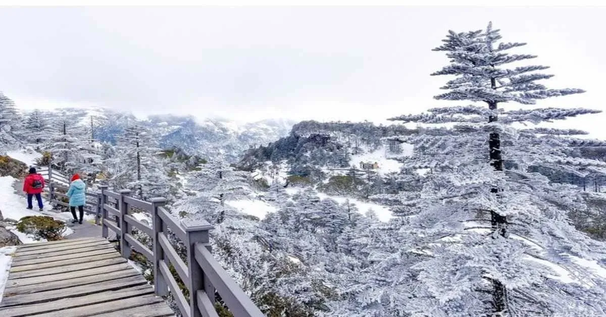 China Kunming Jiaozi Snow Mountain - ทัวร์จีน คุณหมิง นั่งกระเช้าขึ้น ภูเขาหิมะเจี้ยวจื่อ ชมบรรยากาศ สุดฟินน