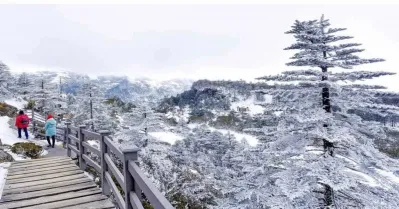 รูปภาพทัวร์