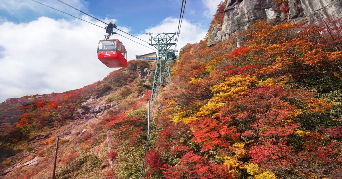 Japan Tokyo Fuji Ibaraki Disneyland Autumn Free Day - ทัวร์ญี่ปุ่น โตเกียว ฟูจิ อิบารากิ ดิสนีย์แลนด์ เช็คอินล่องเรือชมทะเลสาบฮาโกเน่ นั่งกระเช้าสึคบะ ชมวิวใบไม้เปลี่ยนสี (อิสระ 1 วัน)