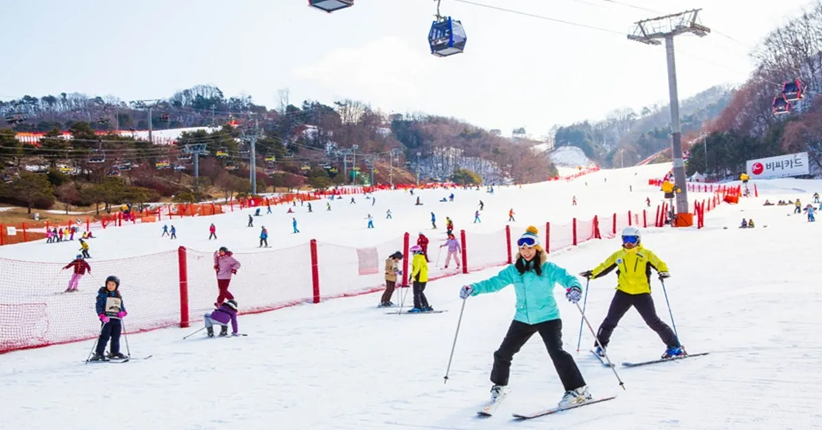 South Korea Seoul Gangnam Myeongdong Ski Resort Free Day New Year - ทัวร์เกาหลี โซล กังนัม เมียงดง สกีรีสอร์ท เทศกาลปีใหม่ (อิสระ 1 วัน)